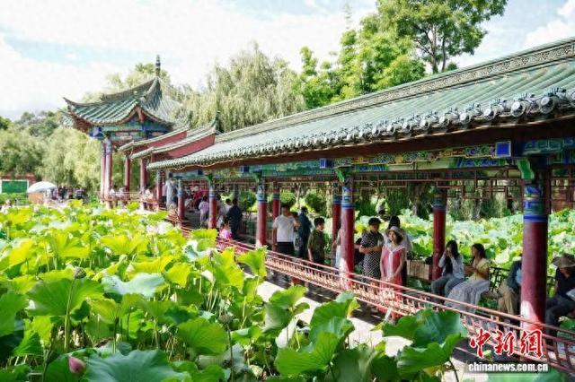 游客打卡“春城”昆明 感受夏日清凉魅力