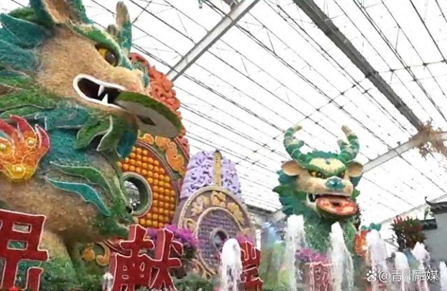 潍坊青州：共赴花卉盛宴 感受独特魅力