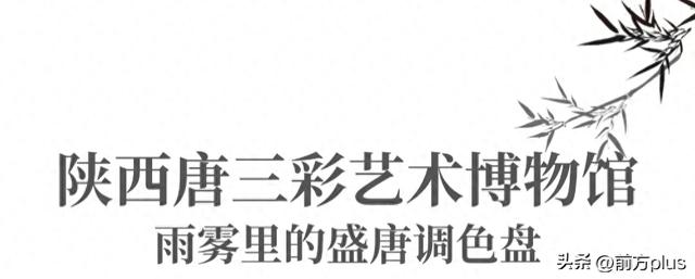 西安这4个宝藏馆！阴雨天去超合适！