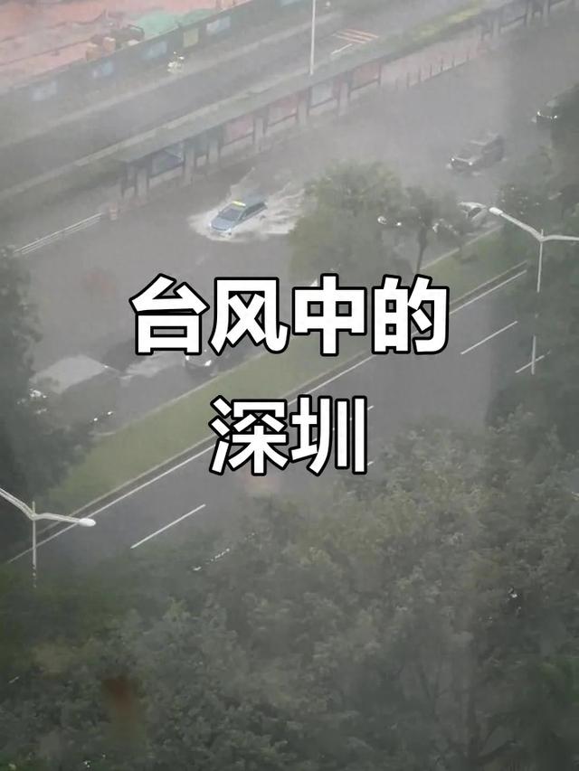 深圳天气seo排名（暴雨台风冷空气深圳气温重回1字头）