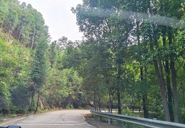 长沙深山中避暑胜地，晚上冷得需要盖被子，还能免费欣赏百丈瀑布