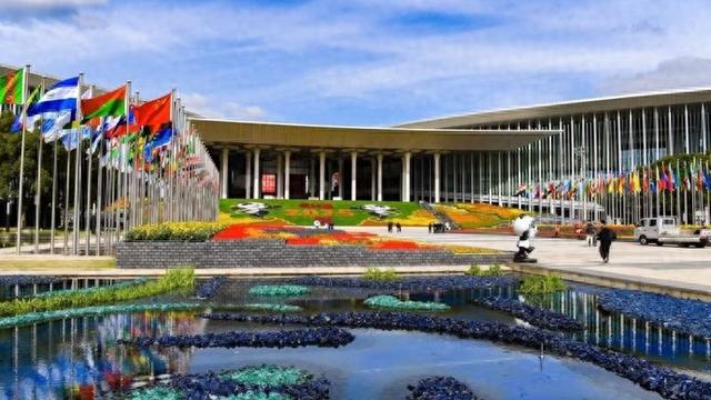 德勤进博首发这份人工智能报告，释放生成式人工智能在消费品及零售行业的价值