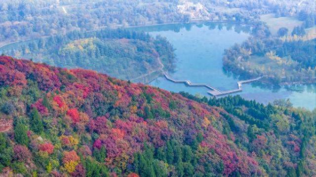 河南洛阳：黄河岸边秋景美如画