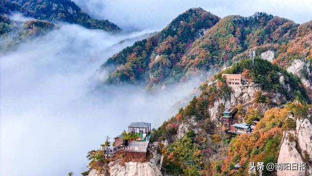 西峡老界岭：假期四大主题活动重磅来袭！