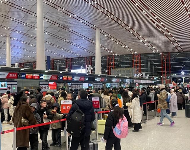 中日旅游警报拉响，749万中国人为何还去日本？理由竟出奇一致！