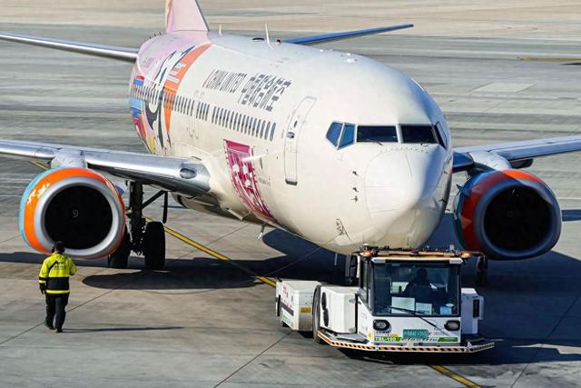 才知道满天飞的波音737-800竟然是外国廉价航空公司的主力机型