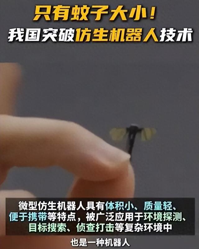 只有蚊子大小！中国正式宣布：突破微型机器人技术！