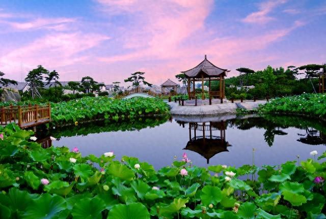 东平的十大名泉