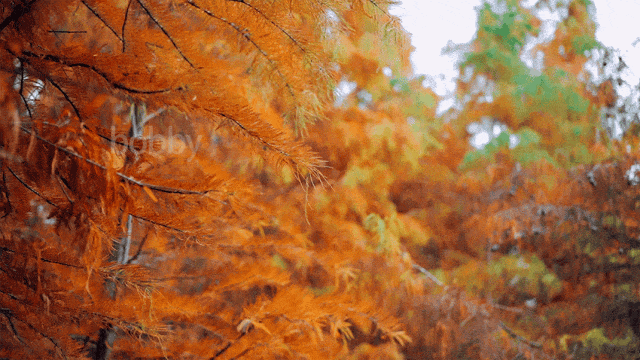 最新实拍！德阳东湖山都美成啥样了啊？太夸张了