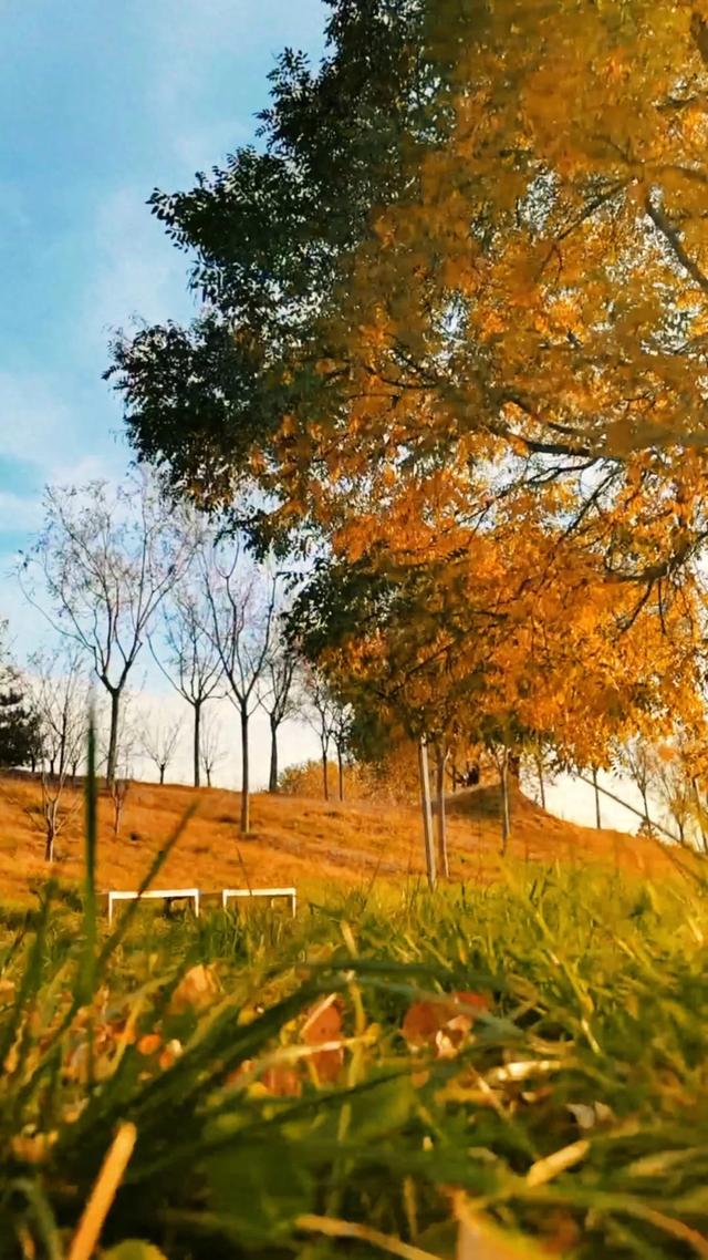 初冬,暖阳斜照时,这里仍有几分秋色——