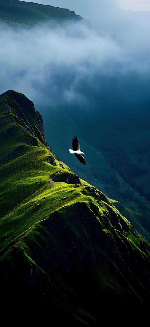 手机壁纸|清新自然，绿色风光美景