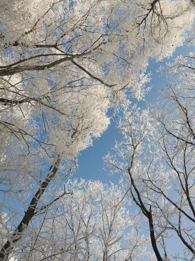邂逅大自然的梦幻雪景