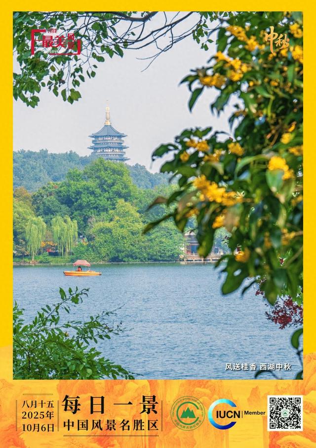 每日一景 | 风送桂香 西湖中秋