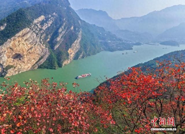 长江西陵峡：碧水红叶相映成画