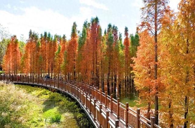 环滇骑行第一站，为什么选择呈贡江尾？邂逅滇池畔的田园诗！