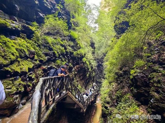 赏峡谷之奇、品田园之乐、探溶洞之美！在太行山最绿的地方，悦享山水好风光