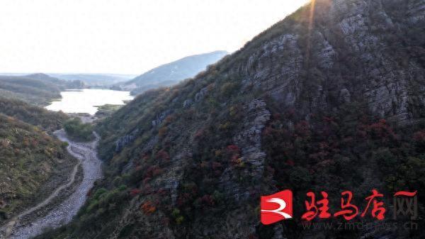 层林尽染！口门水库山间红叶进入最佳观赏期