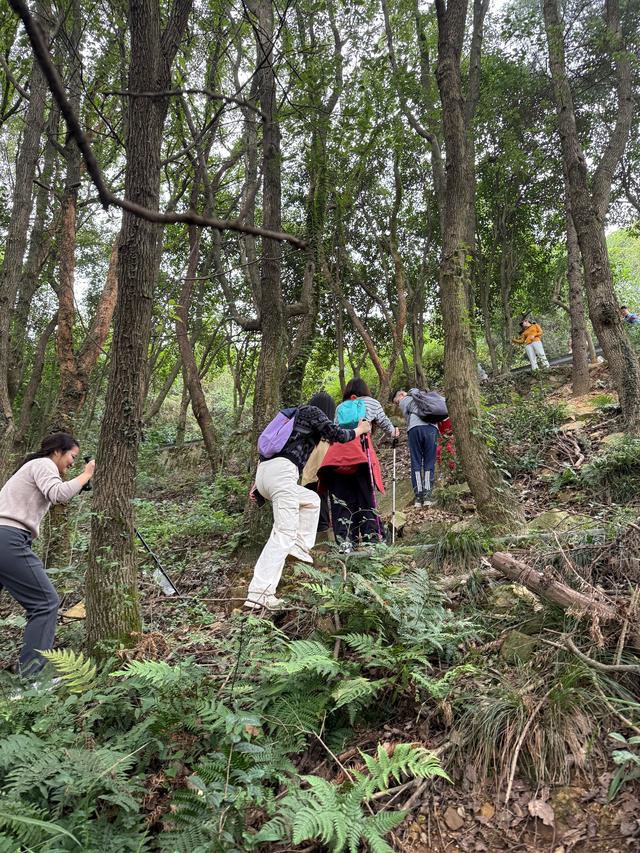 菁华社区“登山公益行”：攀登旺山 环保随行