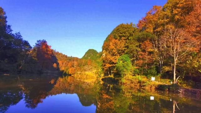 反向操作，解锁广西隐秘秋色！7天6夜避开人潮的治愈之旅