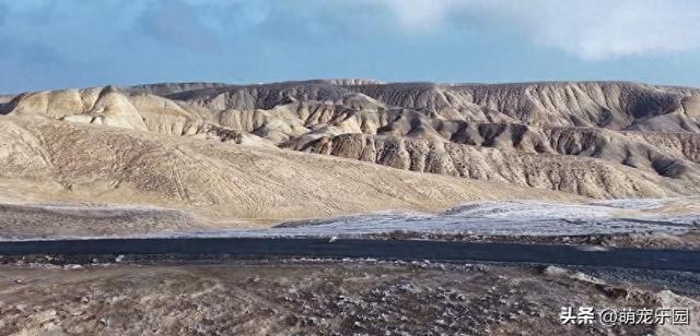 雪花纷飞山林里，小狐狸雪地蹦跳撒欢，天真烂漫模样心里暖洋洋