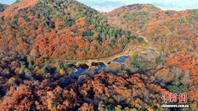 西塞国国家森林公园：绿水青山披“霓裳”