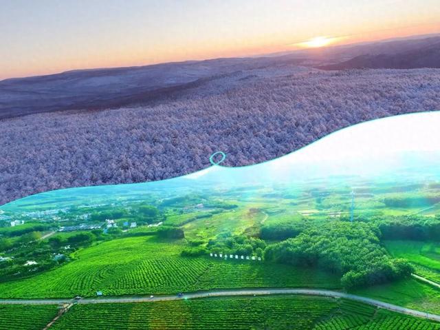 跨越50℃的温差，过两个冬天！中国冬季最远的“撞色CP”来啦！