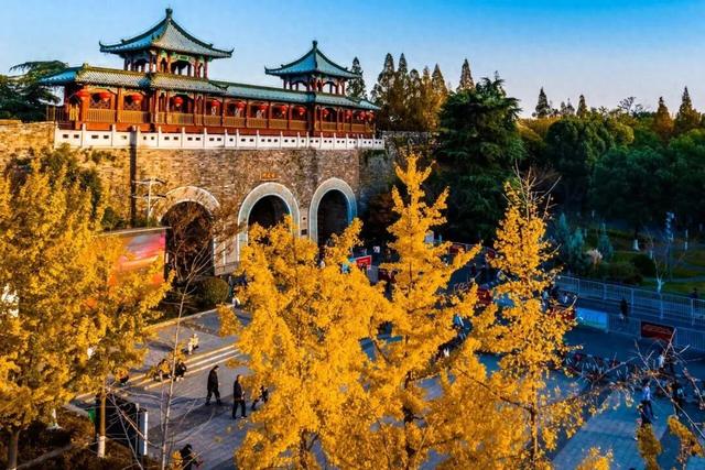 “含金量”还在上升！南京的浪漫藏不住了