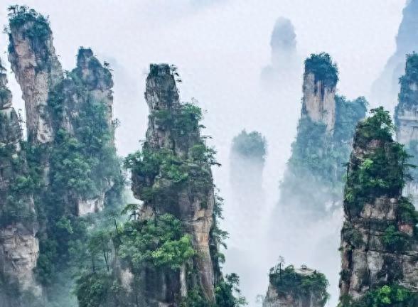 第二届全球旅游业创新周将在张家界举办，首次提出构建“文旅硅谷”产业生态