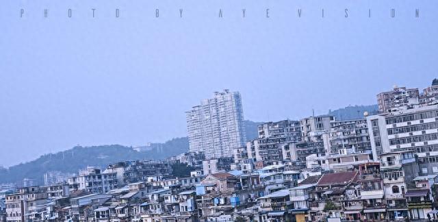 带杨字的唯美网名有哪些（杨字背后的秘密从古至今）