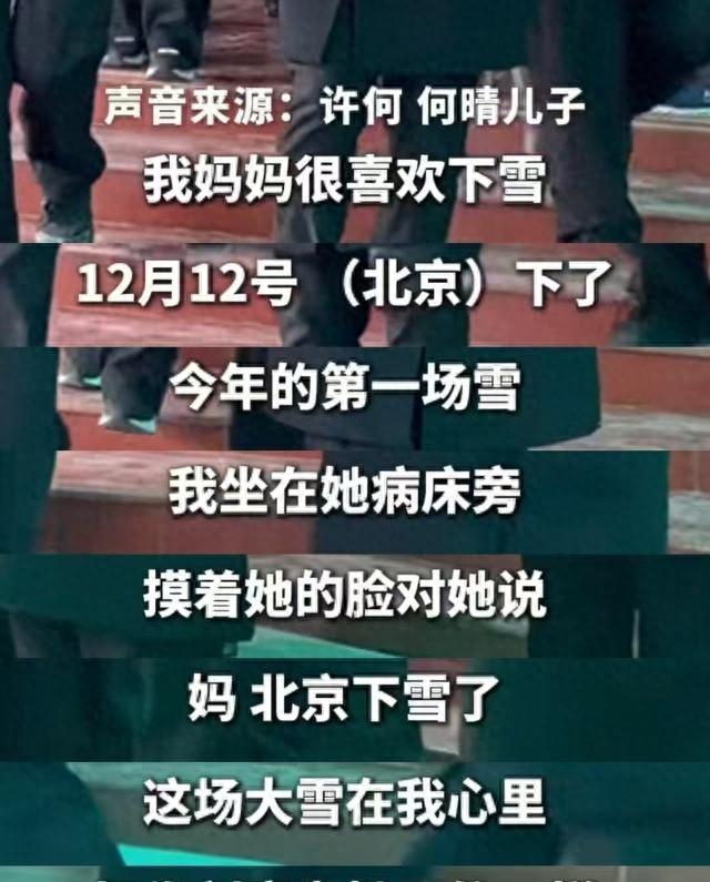 何晴临终状态曝光！昏迷几天后用尽全力拉住儿子的手，母爱太催泪