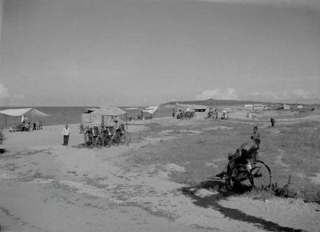 小编说新闻|烟台海岸大升级：老浴场新公园开启青春密码