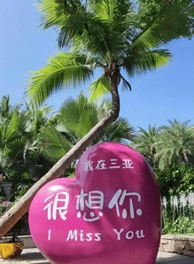 北京大爷被儿女“轰”到三亚	，没想到被几件小事彻底征服！