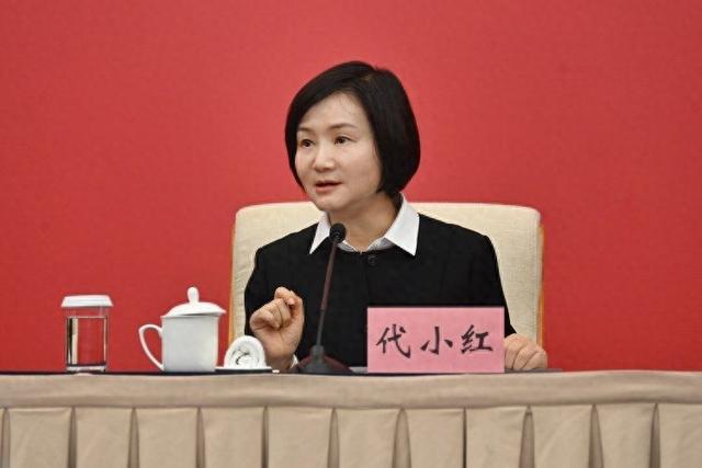 市委六届七次全会精神解读丨代小红：让AI融入老百姓“吃住行游购娱商养学”