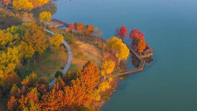 免费！无锡“巨无霸”公园火了