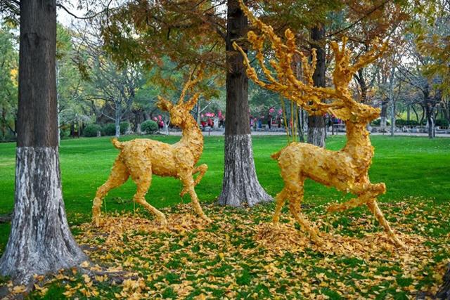 一园一画卷！藏尽老舍笔下的初冬浪漫