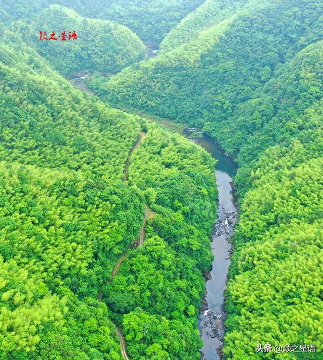 清水溪露营基地，躺漂快乐，可知网红吊桥暗藏风险？