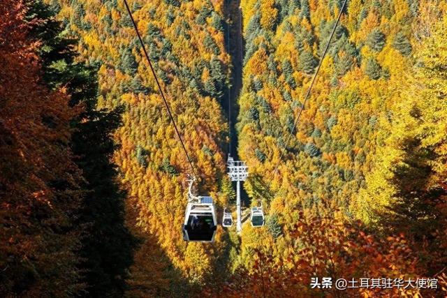 雪落之前：布尔萨的秋日，藏着冬日的秘密