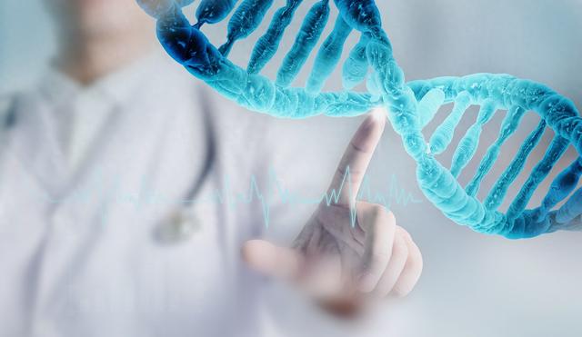 苏州专业网站建设分类（2025年苏州网站建设公司口碑榜单10 家专业级网站搭建服务商推荐）