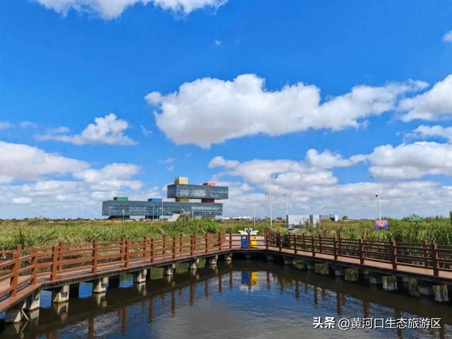 【黄河口生态旅游区】今日入伏 出游温馨提示