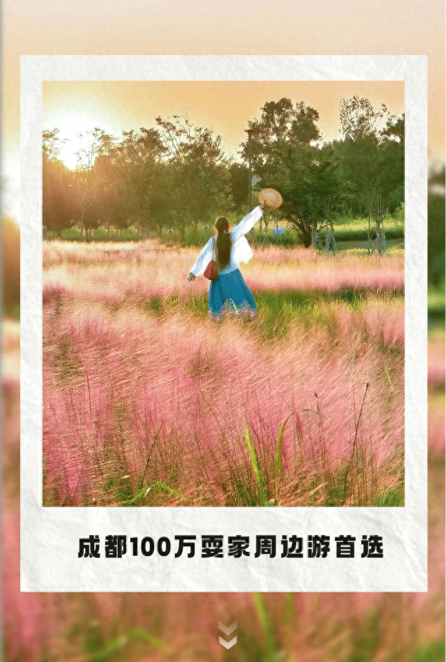 地铁直达！美爆！成都8个秋日限定美景上新！实拍免费，抓紧时间冲！