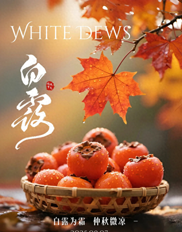 小时候的照片发朋友圈说说精选（白露图片海报文案）