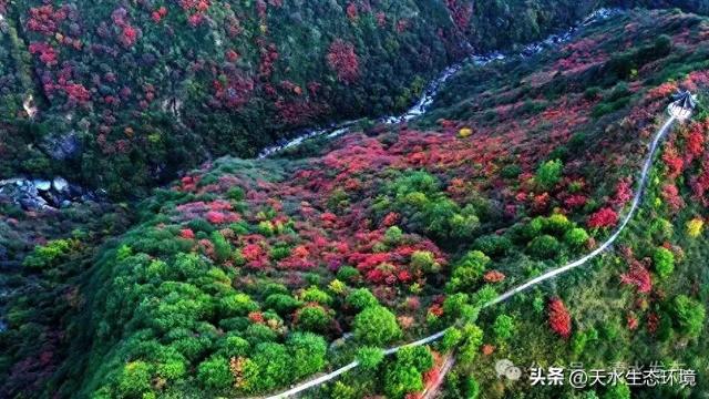 大美天水 | 一键收藏！清水的“多巴胺”配色