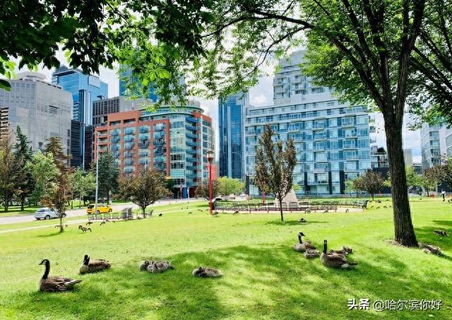 黑龙江宜居城市新观察：伊春如何成为东北康养新地标？