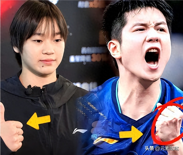 全运会结束仅半月，恶心的事发生了，原来全红婵和樊振东处境一样