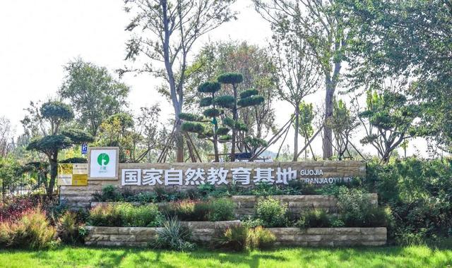 潍城露营热：解锁文旅新玩法，周末约起~
