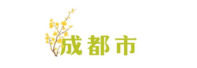 寒风再烈、冬日再冷，蜡梅照样艳压全场！