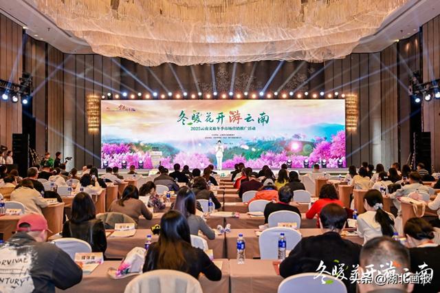 【知音湖北】“冬暖花开游云南”2025冬季文旅推广活动走进武汉 共绘跨区域合作新图景