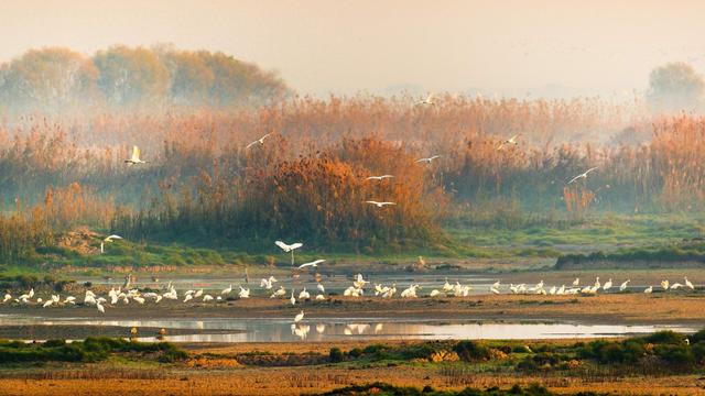 生态价值“变现”超16亿元 蔡甸让美丽生态从资源变资产