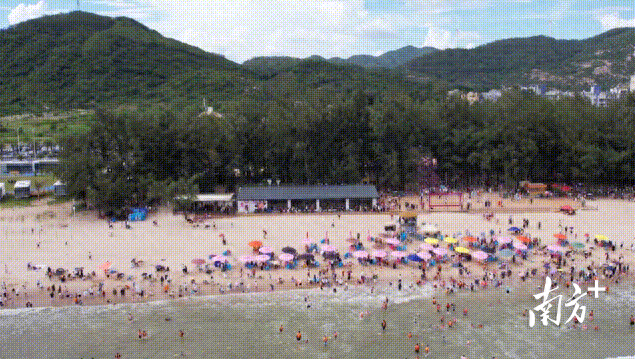 旅游收入比增15%，阳东暑期滨海游“成绩单”亮眼