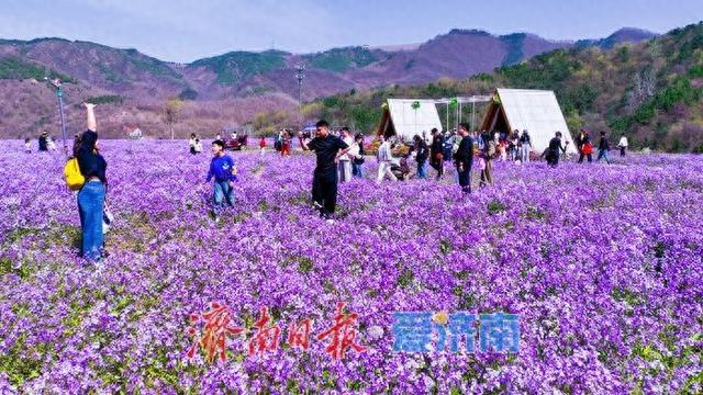 藏在济南的春日秘境！九如山繁花漫卷，解锁泉城踏青新方式